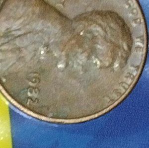 Meet your Posher, Steve